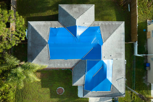 Best Roof Moss and Algae Removal  in Aromas, CA