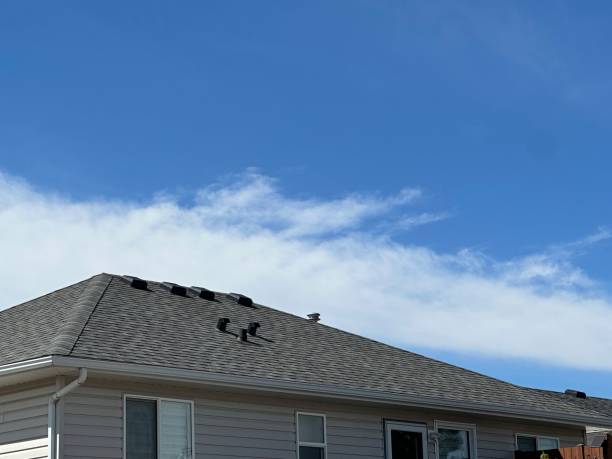 Best Skylight Installation and Repair  in Aromas, CA